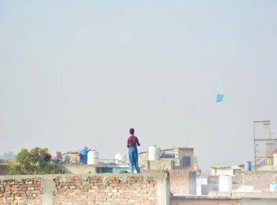 basant kites set to fly in punjab between feb 6 8 basant kites set to fly in punjab between feb 6 8
