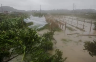farmland is flooded by heavy rain brought by typhoon bavi in wenzhou zhejiang province china july 12 2026 photo reuters