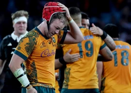 skipper wilson back as wallabies face argentina threat skipper wilson back as wallabies face argentina threat