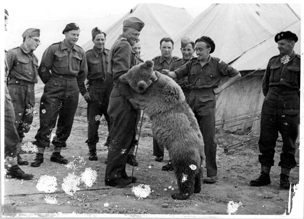 Animated Film To Spotlight Bear That Served In WWII Animated Film To Spotlight Bear That Served In WWII