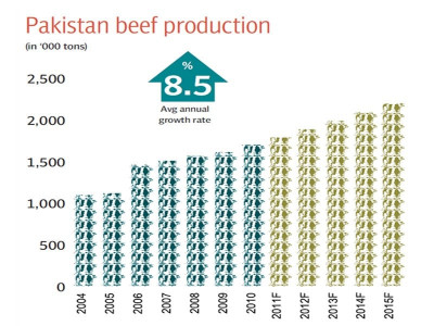 the rise of pakistan in the global meat trade