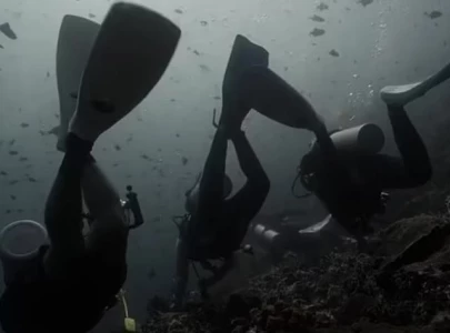 brutal shark attack and strong currents claim lives of two russian divers in the philippines