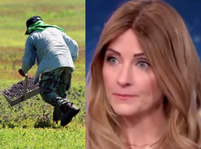 cnn democratic strategist says women won t have berries for smoothies if illegals are deported cnn democratic strategist says women won t have berries for smoothies if illegals are deported