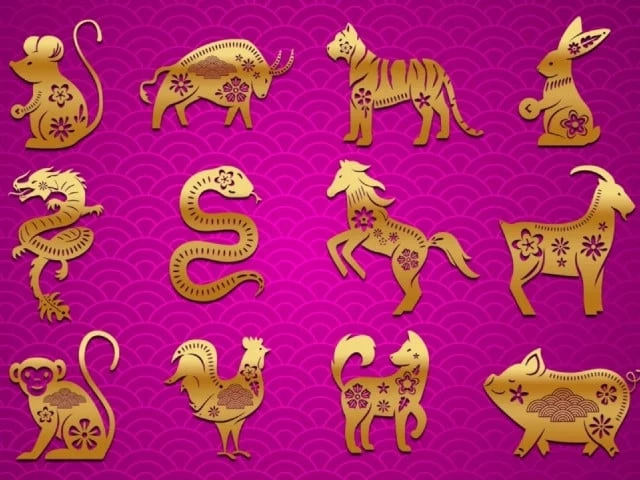 chinese zodiac predictions what the year of the snake holds for every sign