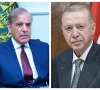 shehbaz erdogan urge un global community to halt israeli aggression
