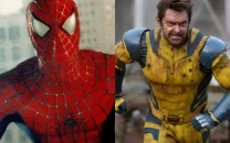 avengers doomsday rumoured to feature tragic spider man vs wolverine clash avengers doomsday rumoured to feature tragic spider man vs wolverine clash