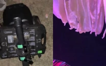 coachella chaos as falling light fixture injures woman in crowd