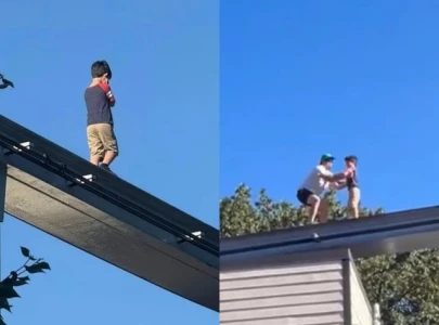 bystander saves boy walking alone on 20 feet high elevated monorail track in pennsylvania bystander saves boy walking alone on 20 feet high elevated monorail track in pennsylvania