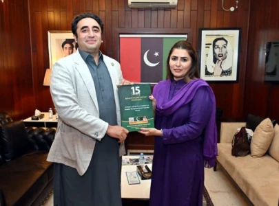 ppp to contest every constituency in punjab