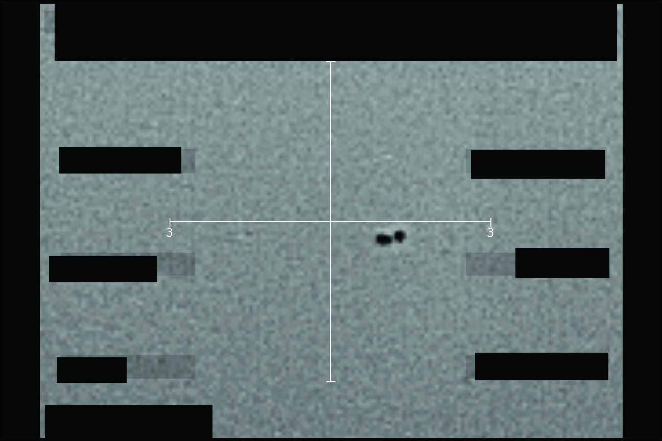 Infrared still image (black hot) captured of unidentified object below helicopter over western United States in September of 2025. PHOTO: US Defence