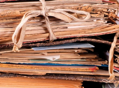 bureaucracy yields to political influences bureaucracy yields to political influences
