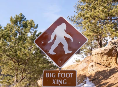 two dead in search for sasquatch in washington forest