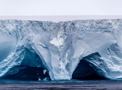 world s biggest iceberg runs aground