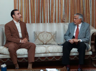 dpm dar meets bilawal discusses country s overall situation ajk matters