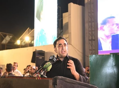 ppp warns against political wrangling