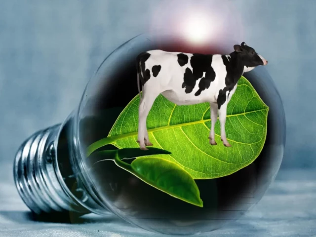 karachi to get first major biogas setup at bhains colony photo file karachi to get first major biogas setup at bhains colony photo file