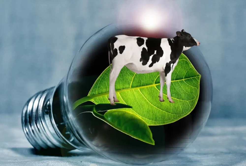 karachi to get first major biogas setup at bhains colony photo file karachi to get first major biogas setup at bhains colony photo file