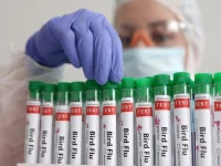 a person touches a test tube labelled bird flu in this picture illustration january 14 2023 reuters dado ruvic