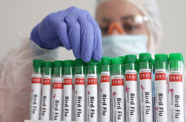 a person touches a test tube labelled bird flu in this picture illustration january 14 2023 reuters dado ruvic