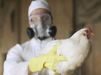 first severe bird flu case in us sparks alarm