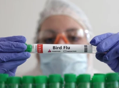 scientists raise alarm over h5n1 bird flu urge pandemic readiness scientists raise alarm over h5n1 bird flu urge pandemic readiness