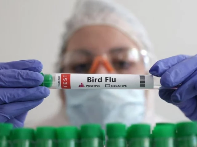 cdc warned undetected bird flu cases in us photo file cdc warned undetected bird flu cases in us photo file