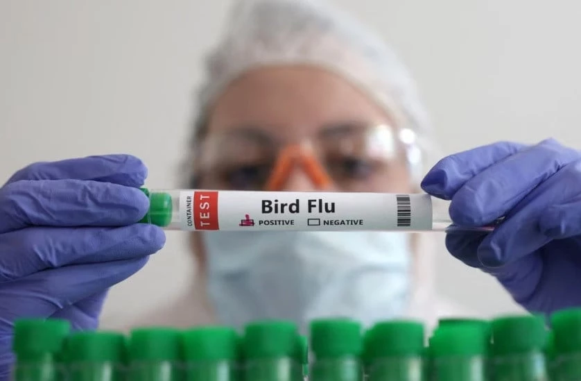 cdc warned undetected bird flu cases in us photo file cdc warned undetected bird flu cases in us photo file