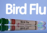 test tubes are seen labelled bird flu words in this illustration taken june 10 2024 photo reuters
