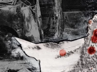 design by anusha nasir