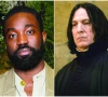 a black snape is a bad idea