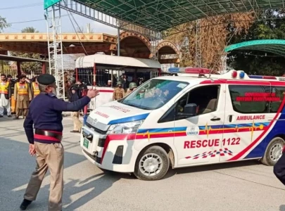 cop collapses during training run dies cop collapses during training run dies