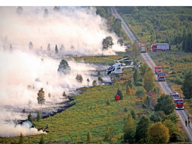 disaster fire services personnel are deployed as smoke rises from a wildfire in the high fens region of belgium photo reuters disaster fire services personnel are deployed as smoke rises from a wildfire in the high fens region of belgium photo reuters