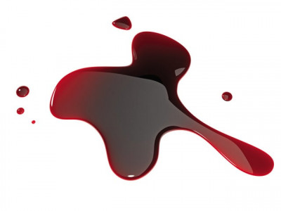 students kill teacher over visa money