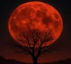 blood moon to grace the sky as year s first total lunar eclipse occurs today