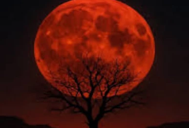 blood moon to grace the sky as year s first total lunar eclipse occurs today