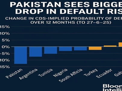pakistan tops rankings for risk improvement pakistan tops rankings for risk improvement