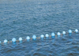 blue economy green signal red lines