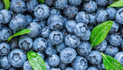 feeling anxious 9 foods to help ease stress and anxiety