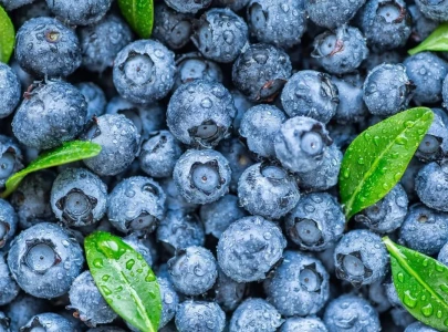 feeling anxious 9 foods to help ease stress and anxiety
