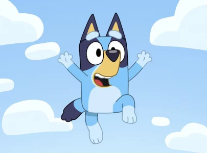 bluey from wish bluey from wish