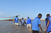 since september 10 the international organization for migration has detected more than 20 000 crossings to djibouti from ethiopia file photo reuters since september 10 the international organization for migration has detected more than 20 000 crossings to djibouti from ethiopia file photo reuters
