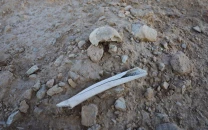 assad regime moved mass graves to conceal war crimes assad regime moved mass graves to conceal war crimes
