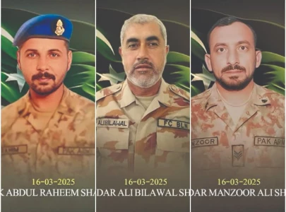 vehicle borne suicide bomber targets security forces convoy