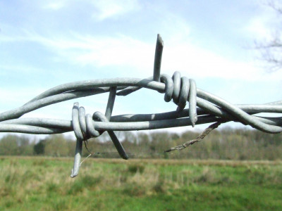 fuzzy boundaries caught between fia and police