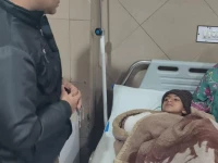 eight year old boy loses arm after lion attack at a lahore breeding farm photo reporter