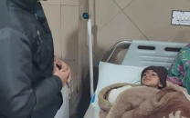 boy loses arm in lion attack at lahore breeding farm