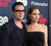angelina jolie and brad pitt divorce takes new turn amid ch teau miraval dispute angelina jolie and brad pitt divorce takes new turn amid ch teau miraval dispute