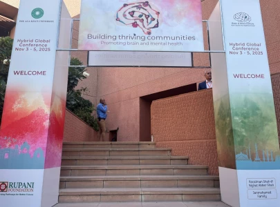 brain and mind experts push for multi layered mental health solutions not just tertiary care