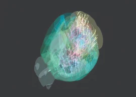 in breakthrough researchers publish brain map in breakthrough researchers publish brain map