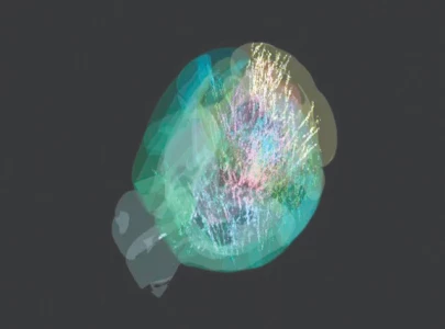 in breakthrough researchers publish brain map in breakthrough researchers publish brain map